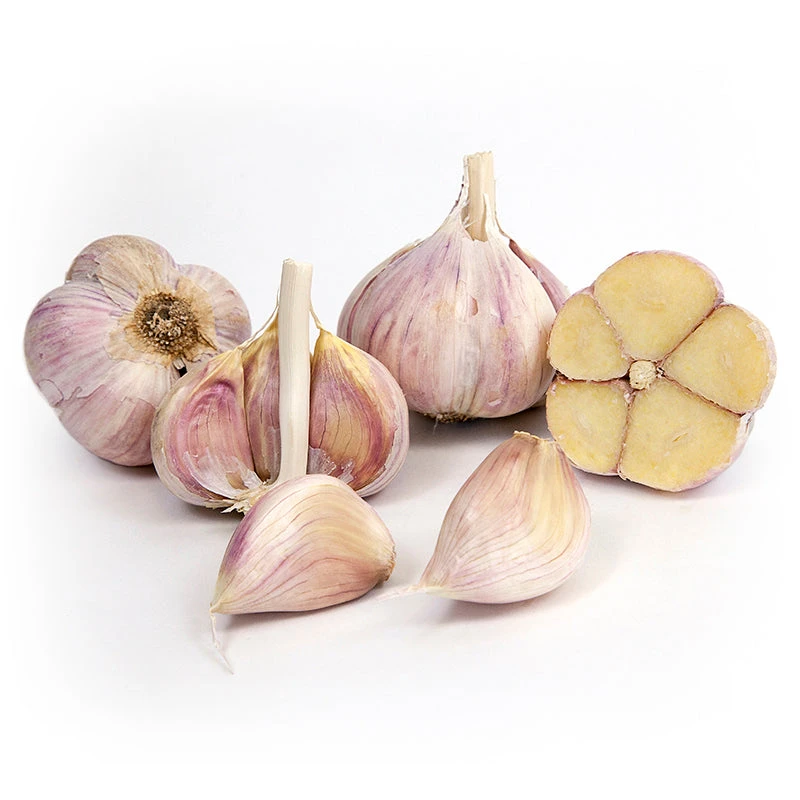 Organic Garlic, German White (lb) 1 Organic Garlic, German White (lb)