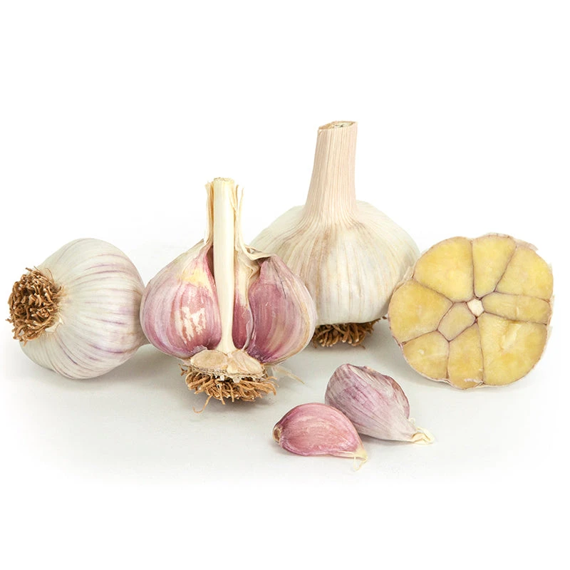 Organic Garlic, Siberian (lb) 1 Organic Garlic, Siberian (lb)