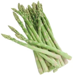 Asparagus Mary Washington