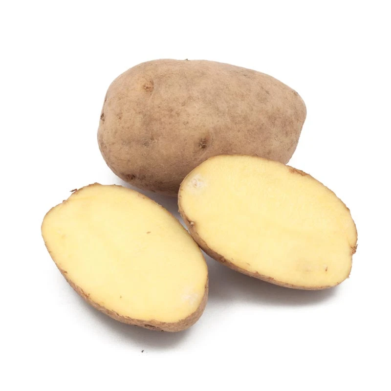 German Butterball Potato (Organic) 1 German Butterball Potato (Organic)