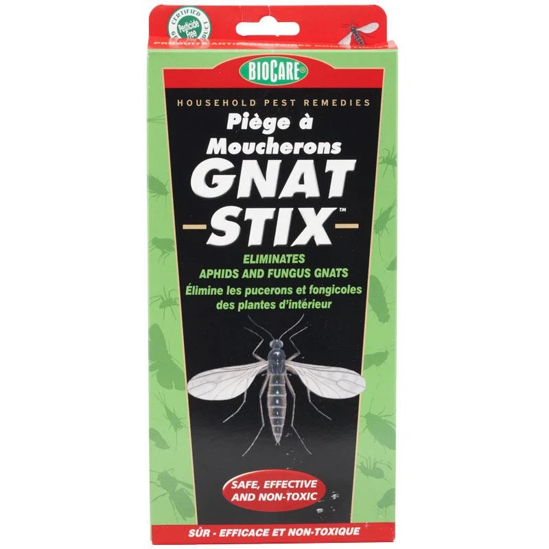 Gnat Stix For Houseplants 1 Gnat Stix For Houseplants