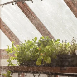 Fogger Mister 5 Fogger Mister -Seeds Fruit Shop ire200 iu 2 1