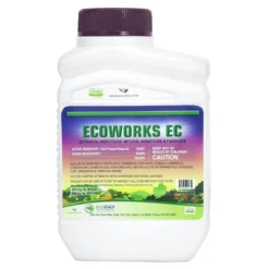Ecoworks EC (16 Ounce) (OID DUAL)