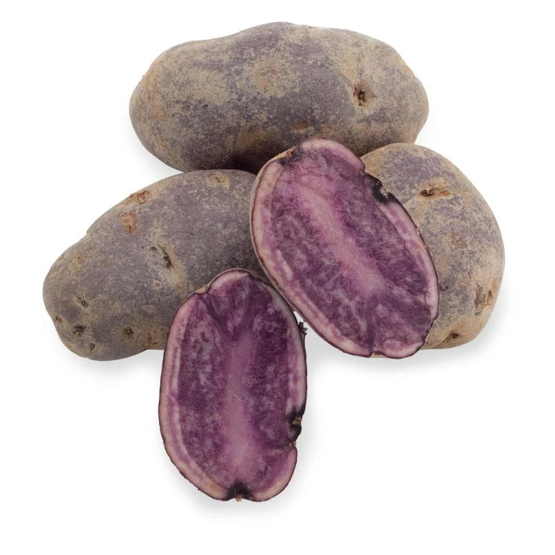 Fall-Planted Organic All Blue Seed Potatoes (lb) 1 Fall-Planted Organic All Blue Seed Potatoes (lb)