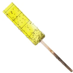 Gnat Stix For Houseplants 5 Gnat Stix For Houseplants -Seeds Fruit Shop pit769 1