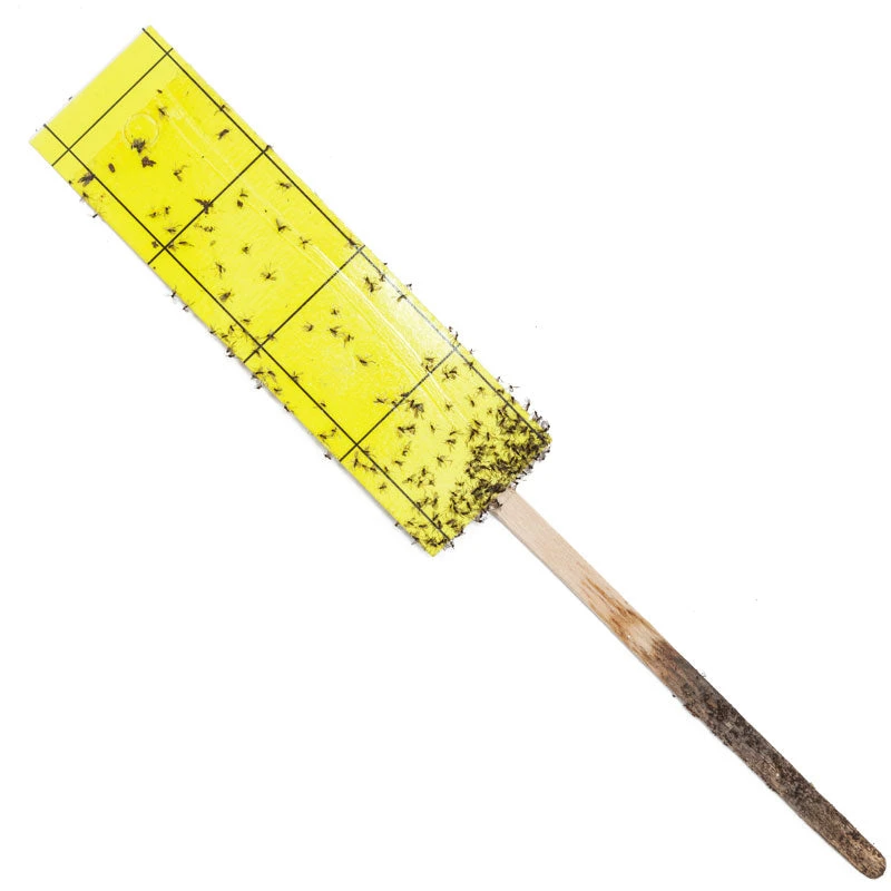 Gnat Stix For Houseplants 3 Gnat Stix For Houseplants - Image 3