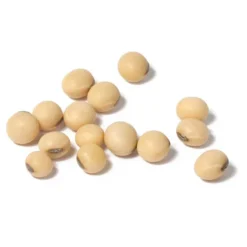 Soybeans - Raw Seed (lb) -Seeds Fruit Shop scl860 cat