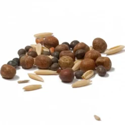 Peaceful Valley Legume Oat Mix #1 - Raw Seed (lb) -Seeds Fruit Shop scm350 cat