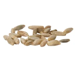 Cereal Rye Seed (Cold Hardy) (lb) 9 Cereal Rye Seed (Cold Hardy) (lb) -Seeds Fruit Shop scn395a