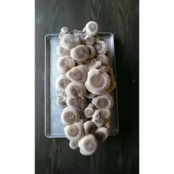 Shiitake Mushroom Block -Seeds Fruit Shop spr200 2 web