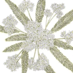 Yarrow, White (1/4 Lb)