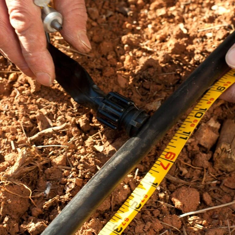 Seeds Fruit Shop -Seeds Fruit Shop driptape to poly 768x768 1